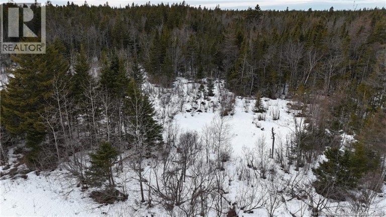 Goldsworthy Road, Black River, New Brunswick, E2J4V1