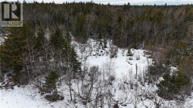 Goldsworthy Road Black River New Brunswick photo 5