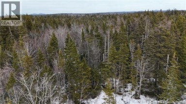 Goldsworthy Road Black River New Brunswick photo 7