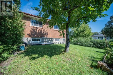 37 PAWNEE AVENUE Toronto (Pleasant View) Ontario photo 42