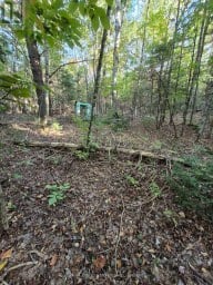 1257 HAMILTON ROAD Minden Hills (Snowdon) Ontario photo 1