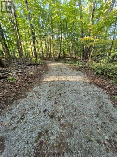 1257 HAMILTON ROAD, Minden Hills (Snowdon), Ontario, K0M2K0