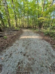1257 HAMILTON ROAD Minden Hills (Snowdon) Ontario photo 10