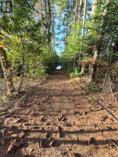 1257 HAMILTON ROAD, Minden Hills (Snowdon), Ontario, K0M2K0