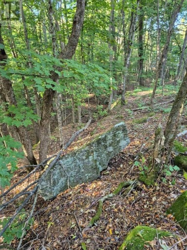 1257 HAMILTON ROAD, Minden Hills (Snowdon), Ontario, K0M2K0