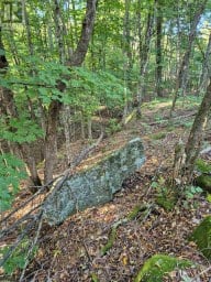 1257 HAMILTON ROAD Minden Hills (Snowdon) Ontario photo 16