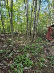 1257 HAMILTON ROAD Minden Hills (Snowdon) Ontario photo 17