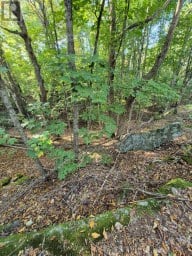 1257 HAMILTON ROAD Minden Hills (Snowdon) Ontario photo 3