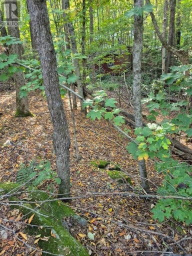 1257 HAMILTON ROAD, Minden Hills (Snowdon), Ontario, K0M2K0