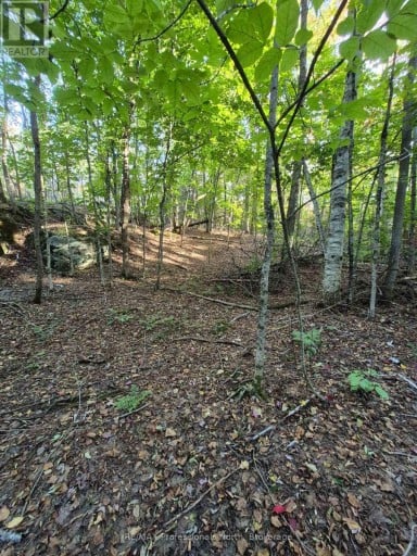 1257 HAMILTON ROAD, Minden Hills (Snowdon), Ontario, K0M2K0