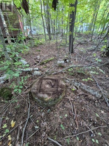 1257 HAMILTON ROAD, Minden Hills (Snowdon), Ontario, K0M2K0