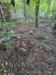 1257 HAMILTON ROAD Minden Hills (Snowdon) Ontario photo 7