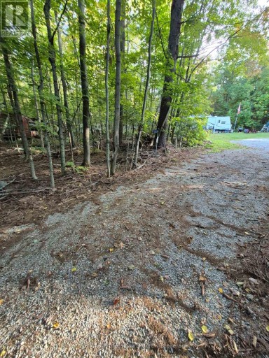 1257 HAMILTON ROAD, Minden Hills (Snowdon), Ontario, K0M2K0