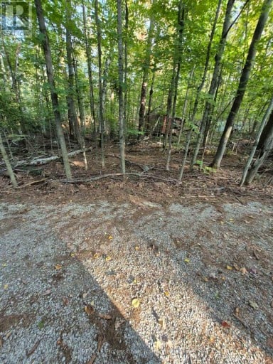 1257 HAMILTON ROAD, Minden Hills (Snowdon), Ontario, K0M2K0