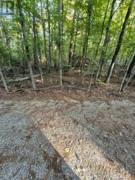 1257 HAMILTON ROAD Minden Hills (Snowdon) Ontario photo 9