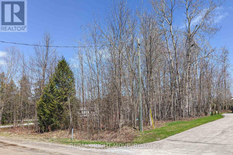 3585 PETER STREET, Ramara, Ontario, L0K1B0