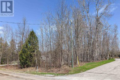 3585 PETER STREET Ramara Ontario photo 3