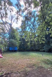 151 DAVID STREET Gravenhurst (Muskoka (S)) Ontario photo 21