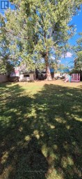 151 DAVID STREET Gravenhurst (Muskoka (S)) Ontario photo 23