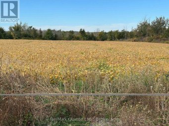 1807 MARYSVILLE ROAD Tyendinaga (Tyendinaga Township) Ontario photo 1