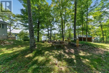 1231 CHIMNEY POINT LANE Central Frontenac Ontario photo 35