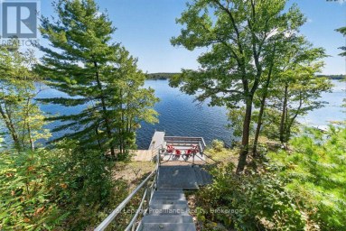 1231 CHIMNEY POINT LANE Central Frontenac Ontario photo 39