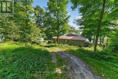 1231 CHIMNEY POINT LANE Central Frontenac Ontario photo 50