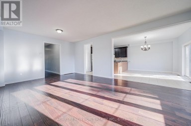 146 ART WEST AVENUE Newmarket (Woodland Hill) Ontario photo 13