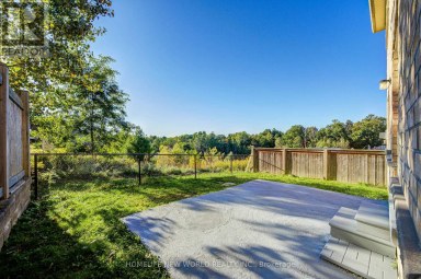 146 ART WEST AVENUE Newmarket (Woodland Hill) Ontario photo 46