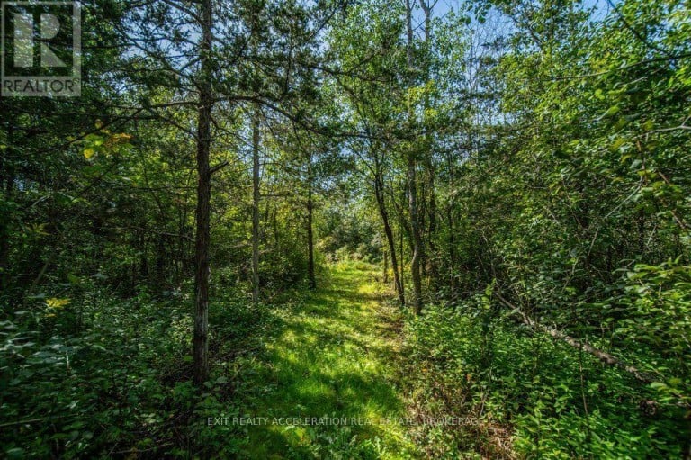 504 CORONATION BOULEVARD, Loyalist (Amherstview), Ontario, K7M5P9