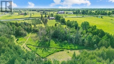 2917 HIGHWAY 28 Douro-Dummer Ontario photo 44