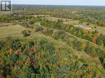 65 NORTHEYS BAY ROAD North Kawartha Ontario photo 12