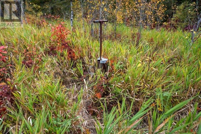 470 AUTO ROAD, Thunder Bay Remote Area (Ware), Ontario, P0T1X0