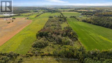 2463 DUNNS LINE Oro-Medonte Ontario photo 10