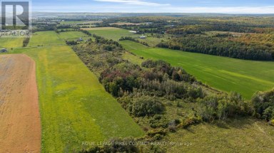 2463 DUNNS LINE Oro-Medonte Ontario photo 9