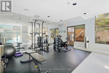 211 - 65 SCADDING AVENUE Toronto (Waterfront Communities) Ontario photo 28