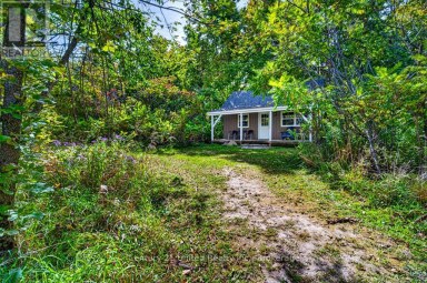 37 NORTHEY'S BAY ROAD North Kawartha Ontario photo 34