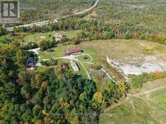 37 NORTHEY'S BAY ROAD North Kawartha Ontario photo 47
