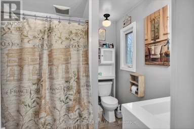 216 ALPINE LAKE ROAD Trent Lakes Ontario photo 43