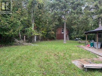 8 CHRISTIDIS DRIVE Georgina (Sutton & Jackson's Point) Ontario photo 11