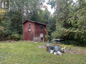 8 CHRISTIDIS DRIVE Georgina (Sutton & Jackson's Point) Ontario photo 5