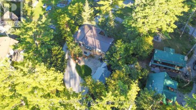 12 ADAM AND EVE ROAD Trent Lakes Ontario photo 3