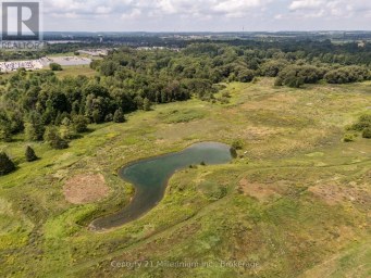 401345 GREY ROAD 4 Hanover Ontario photo 10