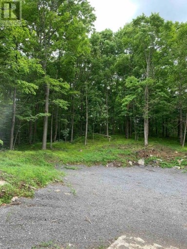 1282 VANSICKLE ROAD, Havelock-Belmont-Methuen (Belmont-Methuen), Ontario, K0L1Z0