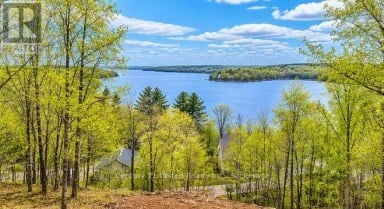 1282 VANSICKLE ROAD Havelock-Belmont-Methuen (Belmont-Methuen) Ontario photo 42