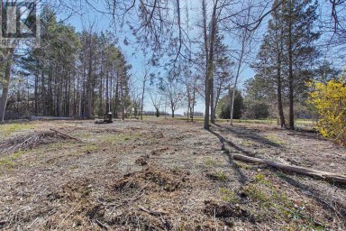 5 HURON VIEW AVENUE Lambton Shores Ontario photo 18