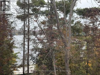 307 - 4 LAKE AVENUE Dysart et al (Dysart) Ontario photo 28