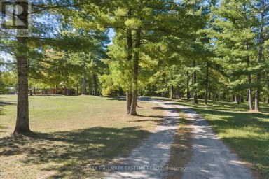 778 EIGHTH LINE ROAD S Douro-Dummer Ontario photo 44