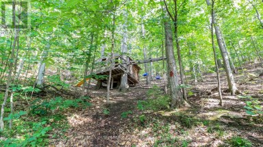 46 PINE RIDGE TRAIL Oro-Medonte (Horseshoe Valley) Ontario photo 27