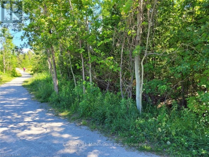 11325 26 HIGHWAY, Collingwood, Ontario, L9Y5H8